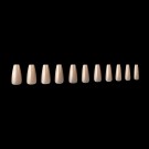 Gel-XTM Neutrals Alex Natural Coffin Medium Box of Tips 150 pcs thumbnail