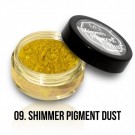 Shimmer Pigment Dust - 09 - 2g thumbnail